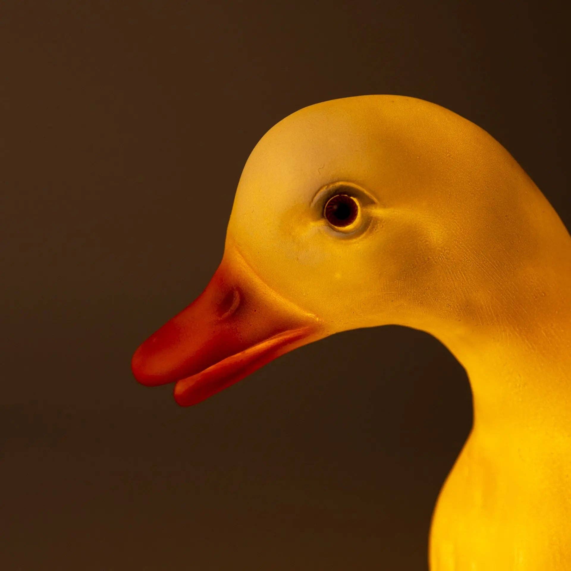 Veilleuse Canard