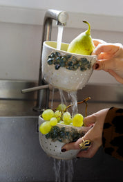 Passoire à fruits